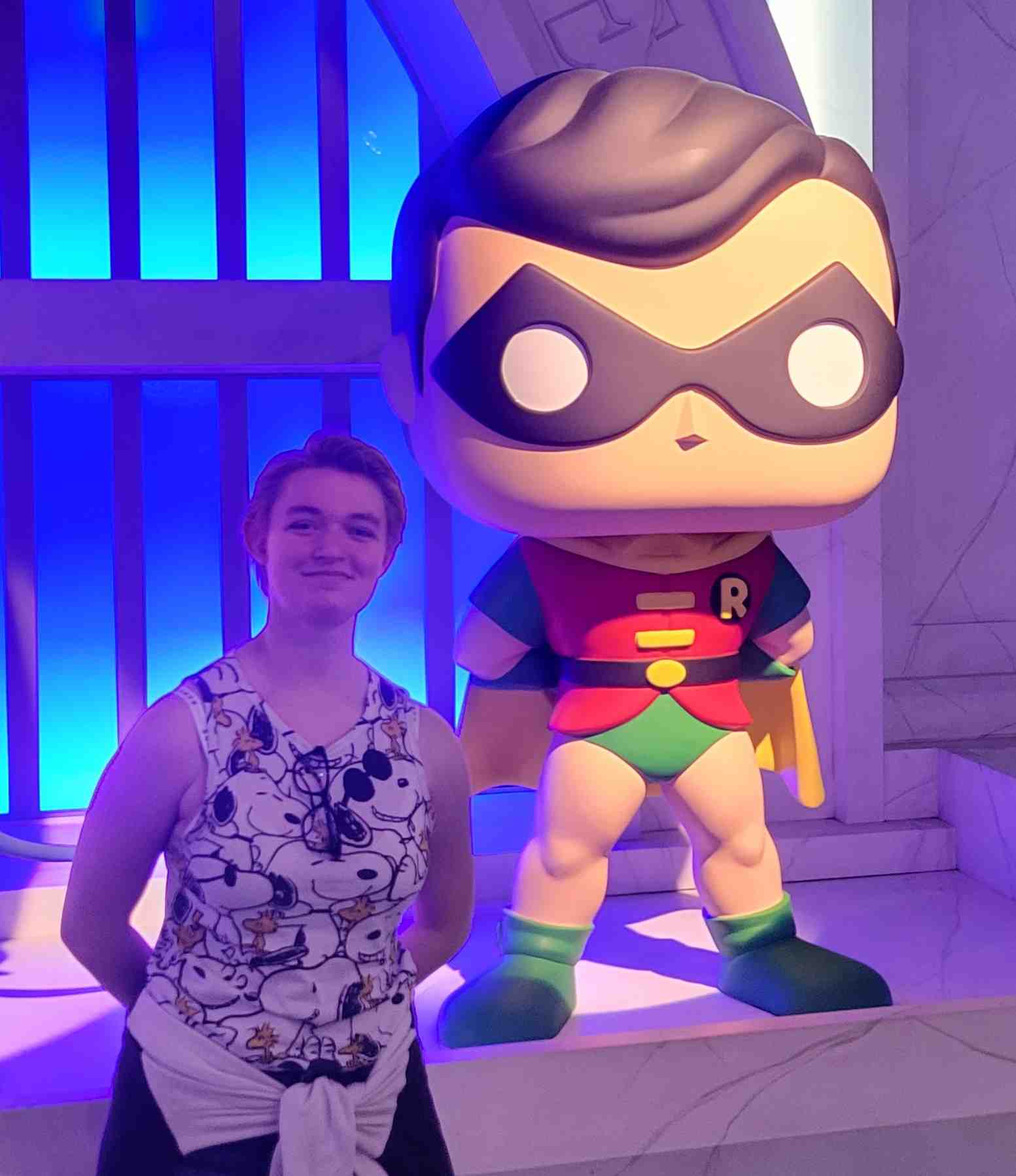 2022-03-23 Funko Robin.jpg